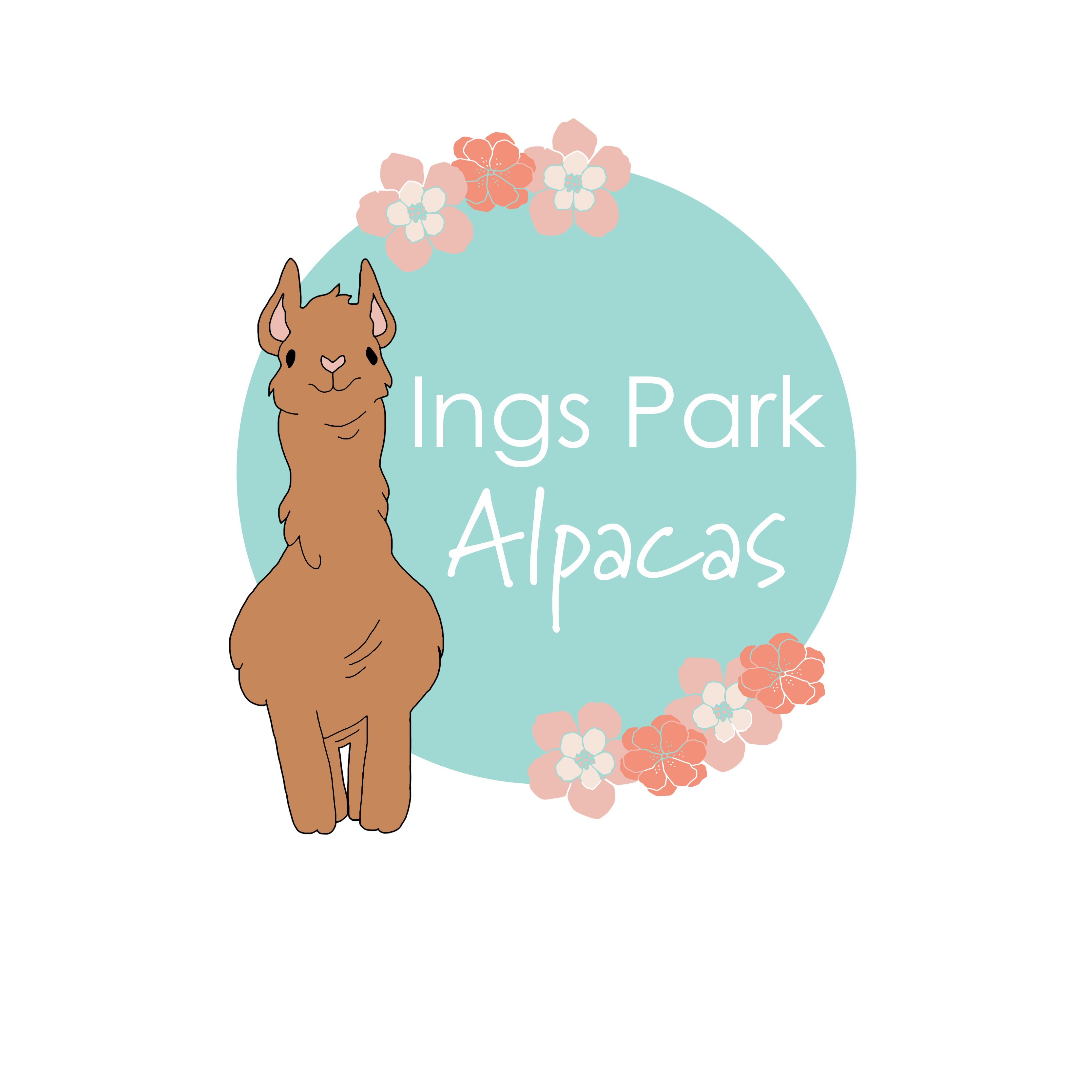 Ings Park Alpacas in North Cave